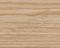 ENCINA BLANCA